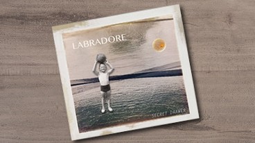 Labradore – Secret Drawer